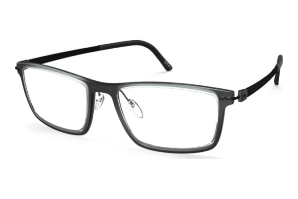 Bril Silhouette Infinity View (2939 9148)