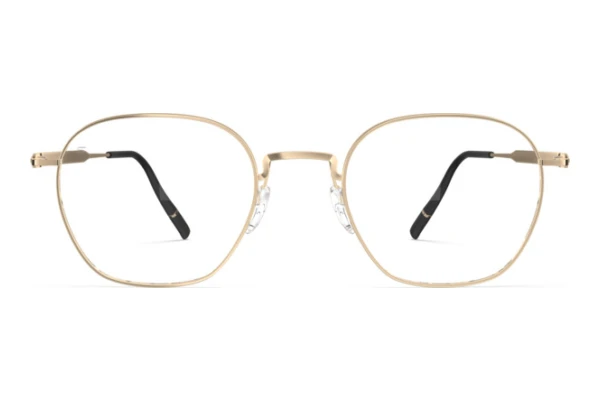 Bril Silhouette Pure Visionary (5592 7631)