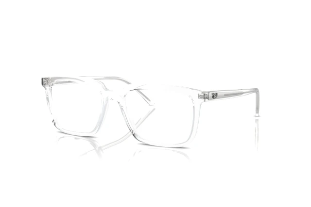 Ray-Ban ALAIN RX 7239 2001