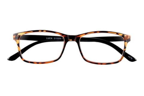  I NEED YOU LUCA G10200 braun-havanna D1.00