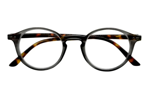  I NEED YOU SASHA G73900 grau havanna D2.50