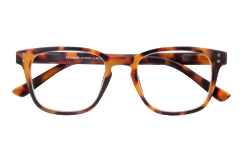  I NEED YOU STUDENT G15200 havanna D2.50