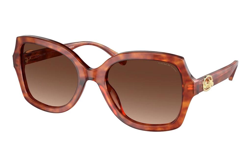 Coach   HC8295 5774T5 Brown Gradient PolarizedCaramel Tortoise