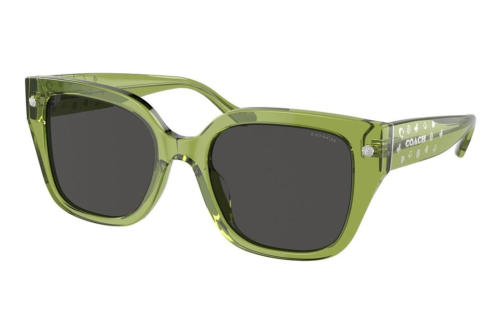 Coach   HC8392U 581087 Grey SolidTransparent Key Lime