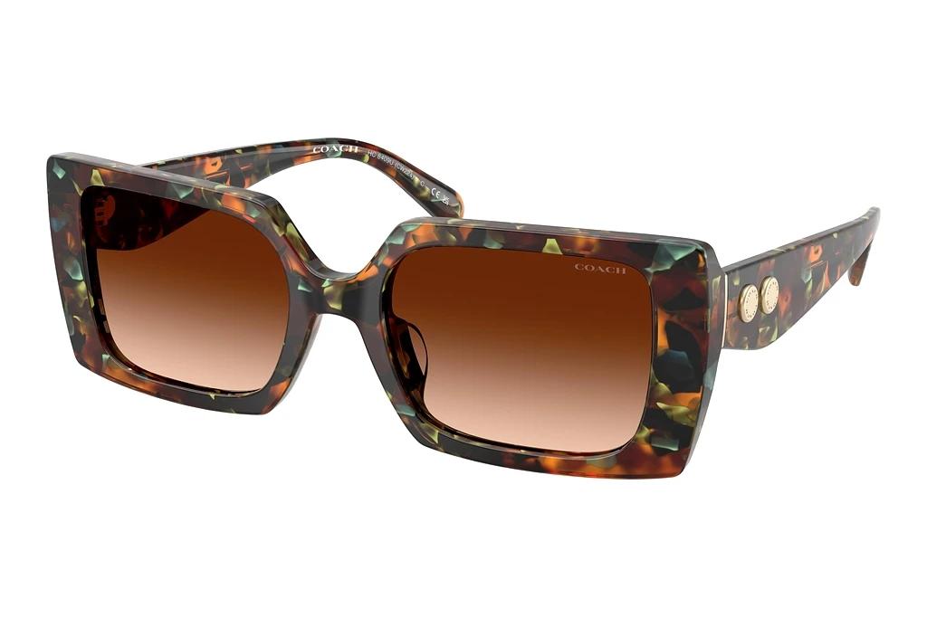 Coach   HC8409U 584474 Brown GradientJade Pearl Tortoise