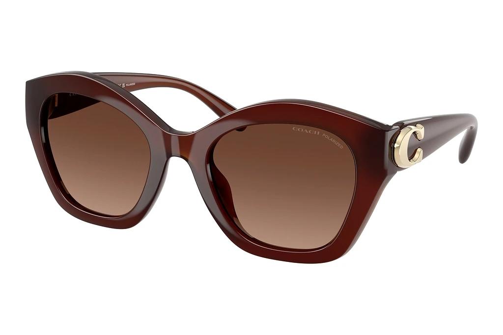 Coach   HC8421U 5841T5 Brown Gradient PolarMilky Hazelnut