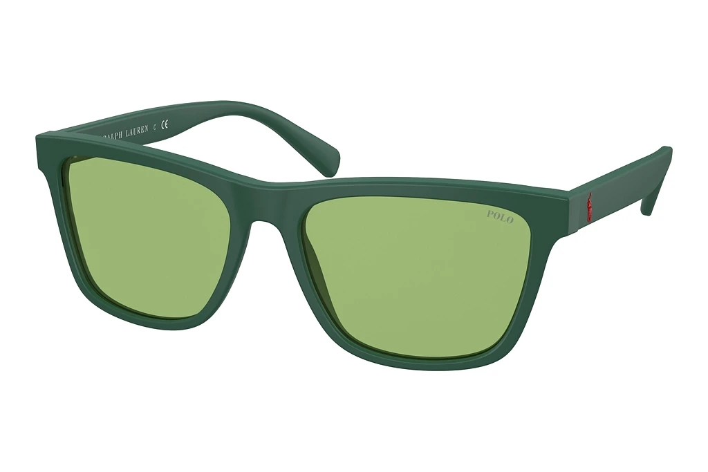 Polo   PH4167 5421/2 Dark GreenMatte Forest Green