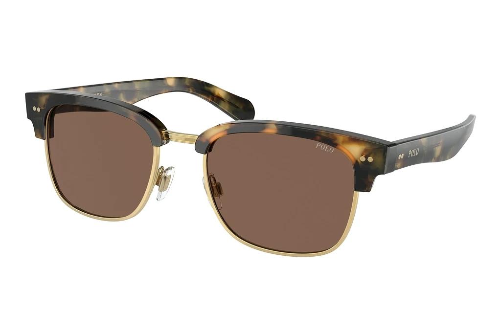 Polo   PH4202 608773 BrownShiny Camo Havana