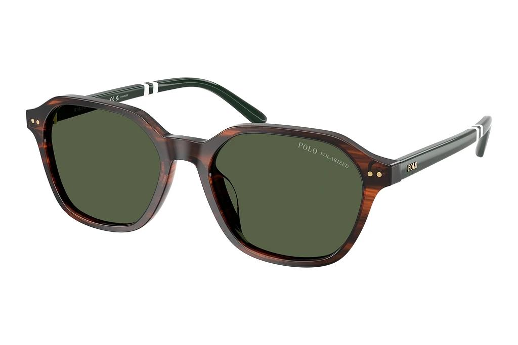 Polo   PH4234U 63159A Polar GreenShiny Havana
