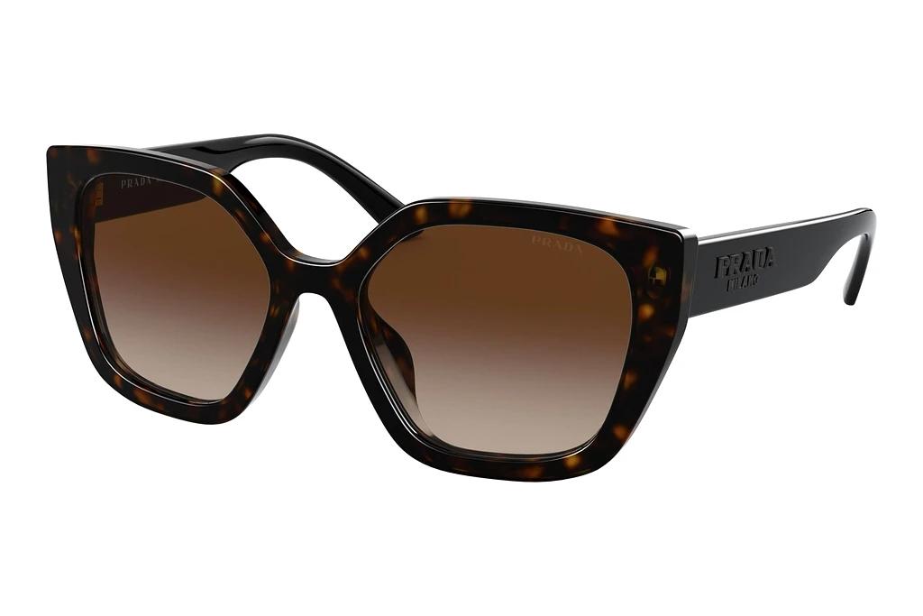 Prada   PR 24XS 2AU6S1 Brown GradientHavana