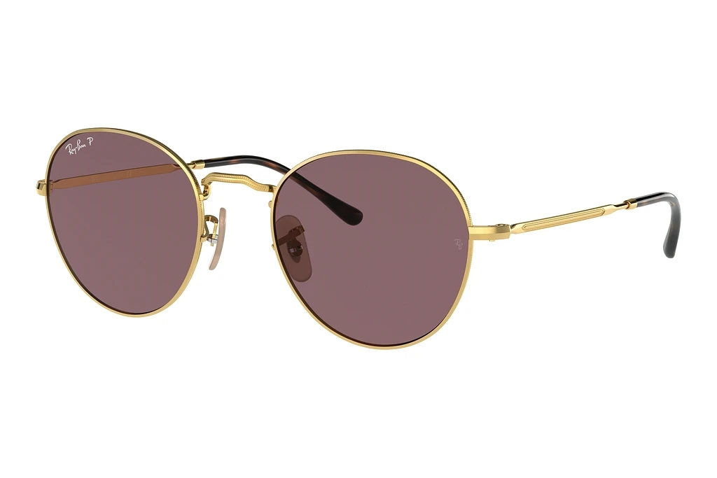 Ray-Ban   RB3582 001/AF Dark VioletArista Gold