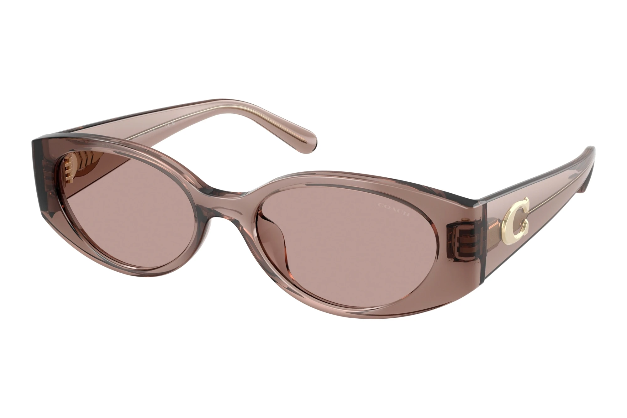Coach   HC8462U 59627N Light Purple SolidTransparent Mauve