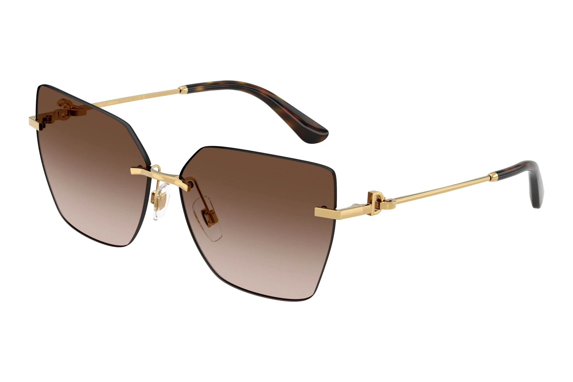 Dolce & Gabbana   DG2321 02/13 Brown GradientGold