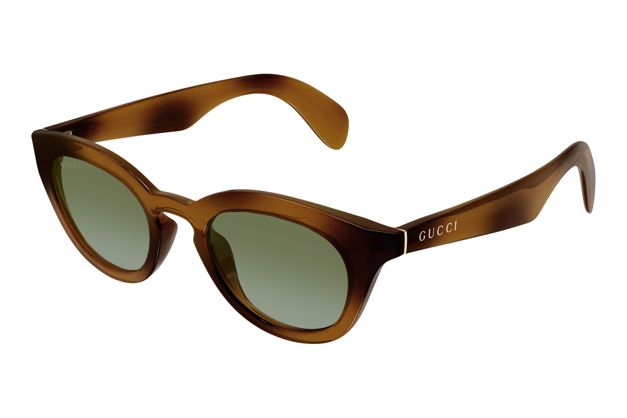 Gucci   GG1934S 002 HAVANA