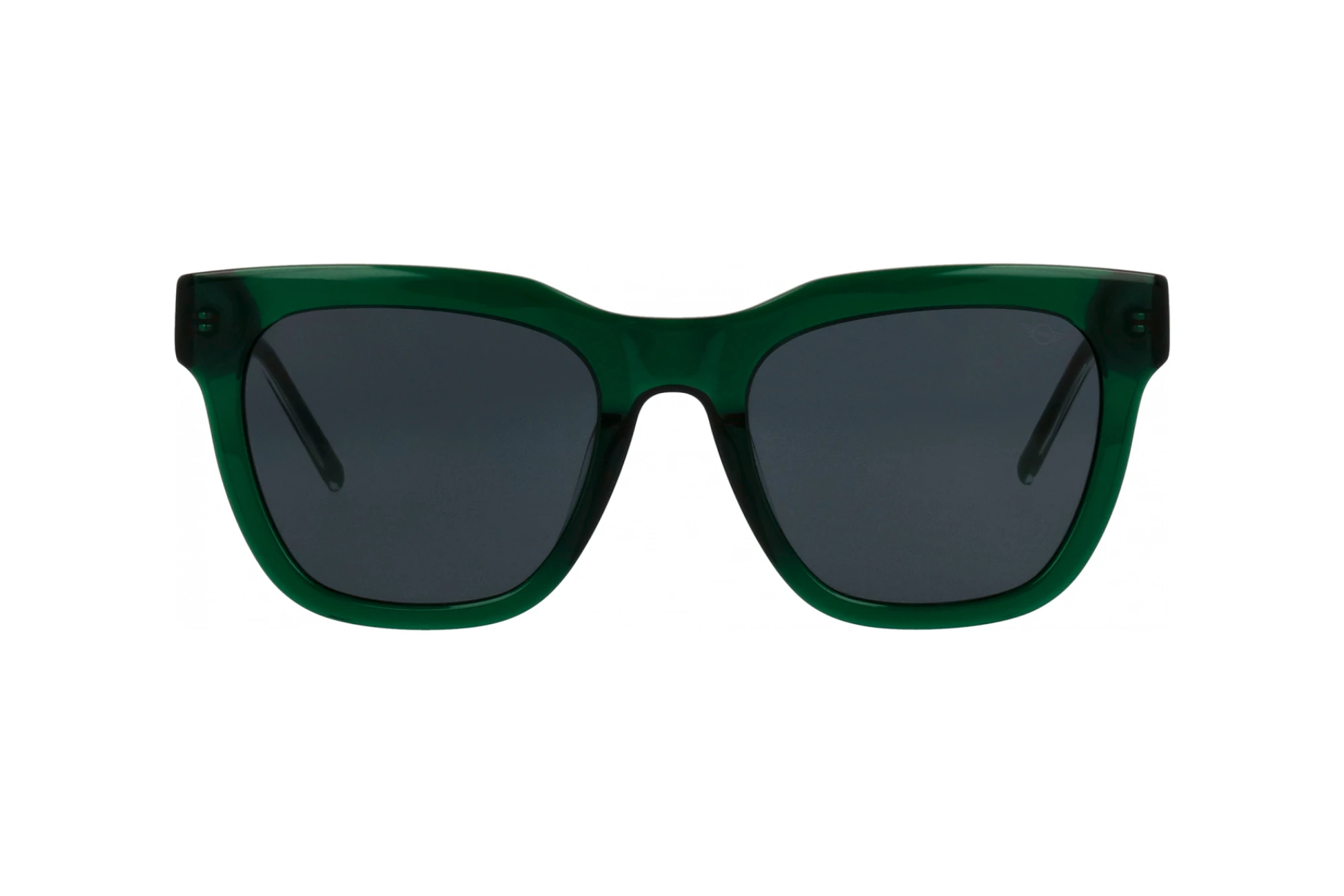 Vooraanzicht MINI Eyewear MI 746018 (40)