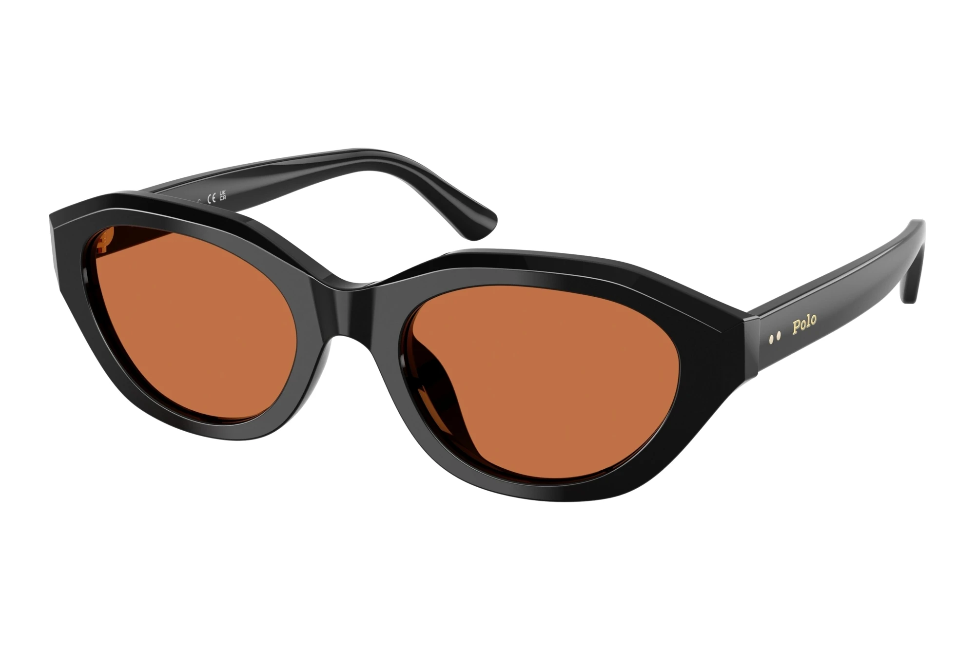 Polo   PH4237U 500173 BrownShiny Black