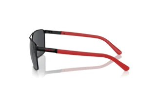 Zijaanzicht Arnette BARRACAS (AN3091 - 737/87)
