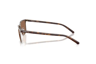 Zijaanzicht Arnette HAMPERE (AN3094 - 738/73)