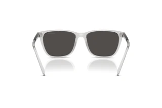 Achteraanzicht Arnette CORTEX (AN4291 - 285887)