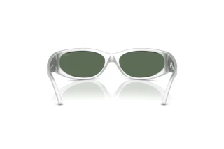 Achteraanzicht Arnette CATFISH (AN4302 - 28676R)