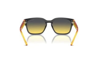 Achteraanzicht Arnette HAMIE (AN4325 - 27862Q)