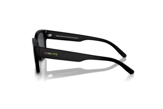 Zijaanzicht Arnette HAMIE (AN4325 - 290087)