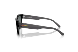 Zijaanzicht Arnette HAMIE (AN4325 - 291081)