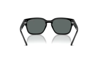 Achteraanzicht Arnette HAMIE (AN4325 - 291081)