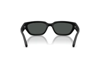 Achteraanzicht Arnette CURBSIDE (AN4350 - 297687)