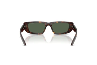 Achteraanzicht Arnette AL (AN4357 - 122271)