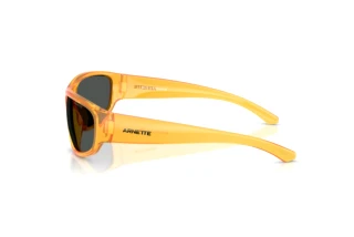 Zijaanzicht Arnette GONDO (AN4361 - 287587)