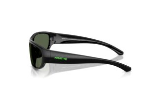 Zijaanzicht Arnette GONDO (AN4361 - 290071)