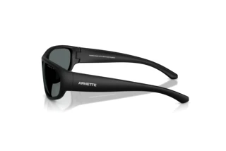 Zijaanzicht Arnette GONDO (AN4361 - 290081)