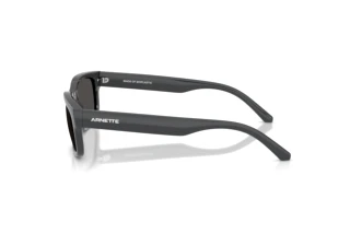 Zijaanzicht Arnette DEFYER (AN4363 - 284187)