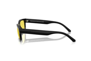 Zijaanzicht Arnette DEFYER (AN4363 - 290085)