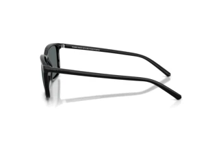 Zijaanzicht Arnette DINSKY (AN4364 - 290081)