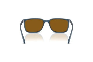 Achteraanzicht Arnette DINSKY (AN4364 - 299683)