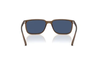 Achteraanzicht Arnette DINSKY (AN4364 - 299780)