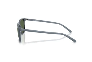 Zijaanzicht Arnette DINSKY (AN4364 - 299971)