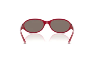 Achteraanzicht Arnette RAVEN (AN4368 - 30376G)