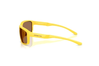 Zijaanzicht Arnette AN4373 (304273)
