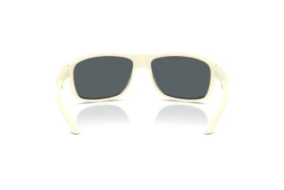 Achteraanzicht Arnette AN4374 (302955)