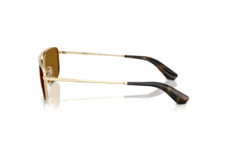 Zijaanzicht Burberry BE3170 (110983)