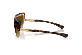 Zijaanzicht Burberry BE3175 (110913)
