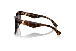 Zijaanzicht Burberry BE4418 (300273)