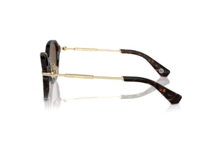 Zijaanzicht Burberry BE4429D (300273)