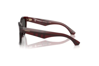 Zijaanzicht Burberry BE4432U (411587)