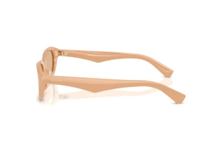 Zijaanzicht Burberry BE4447D (415073)