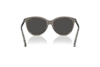 Achteraanzicht Burberry BE4455 (416087)