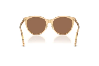 Achteraanzicht Burberry BE4464D (416773)
